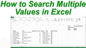 Read more about the article How to Search Multiple Values in Excel