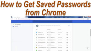 Read more about the article How to Get Saved Passwords from Chrome