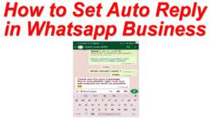 Read more about the article How to Set Auto Reply in Whatsapp Business