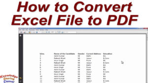 Read more about the article How to Convert Excel File in PDF