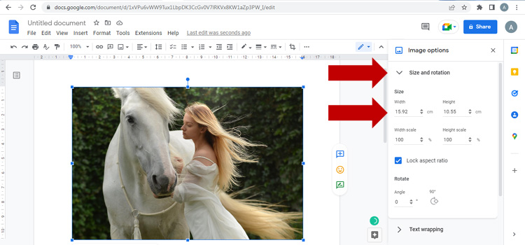 How to reduce the size of the photo in Google Docs